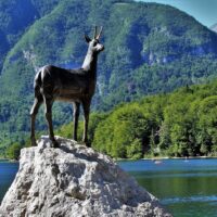 goat statue on rock by lake bohinj